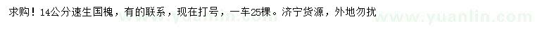求購(gòu)14公分速生國(guó)槐