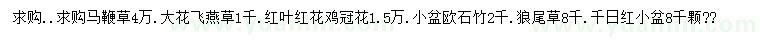 求購馬鞭草、大花飛燕草、雞冠花等