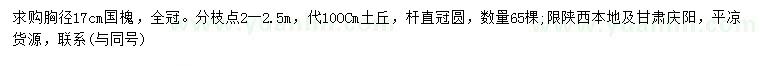 求購胸徑17公分國槐