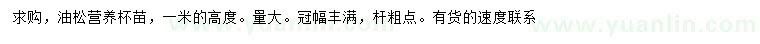 求購高1油松