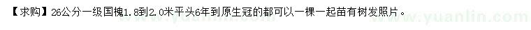 求購26公分國槐