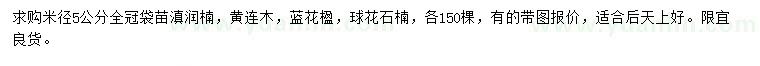 求購滇潤楠、黃連木、藍(lán)花楹等