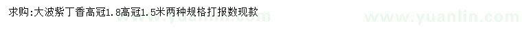 求購高1.8米大波紫丁香