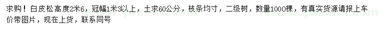求購高2.6米白皮松
