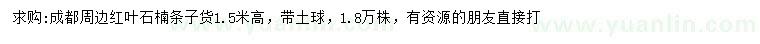 求購高1.5米紅葉石楠