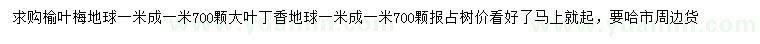 求購榆葉梅、大葉丁香