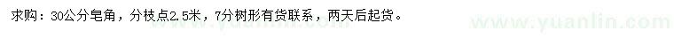 求購30公分皂角