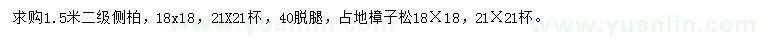 求購(gòu)1.5米側(cè)柏、樟子松