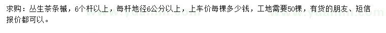 求購每桿地徑6公分以上叢生茶條槭