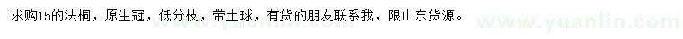 求購15公分法桐