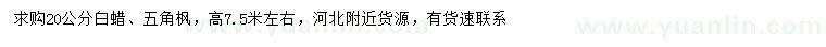 求購(gòu)20公分白蠟、五角楓