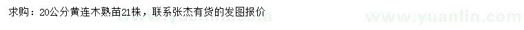 求購20公分黃連木