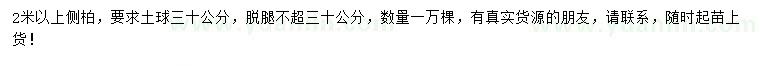 求購2米以上側(cè)柏