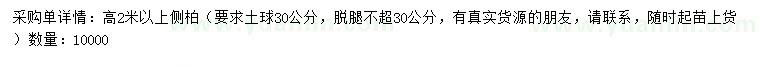 求購高2米以上側(cè)柏