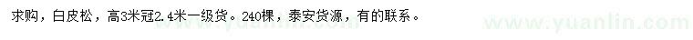求購冠幅2.4米白皮松