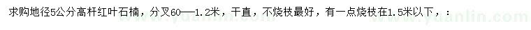 求購地徑5公分高桿紅葉石楠