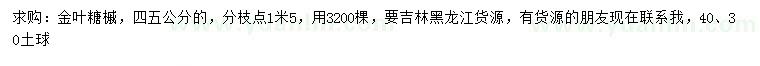 求購4、5公分金葉糖槭