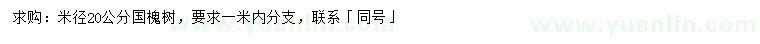 求購米徑20公分國槐