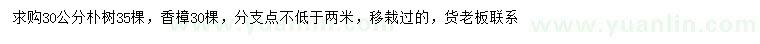 求購30公分樸樹、香樟