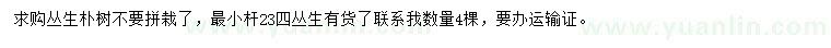 求購叢生樸樹