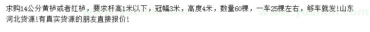 求購14公分黃櫨、紅櫨