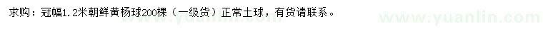 求購冠幅1.2米朝鮮黃楊球