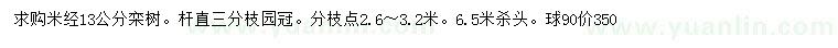 求購米徑13公分欒樹