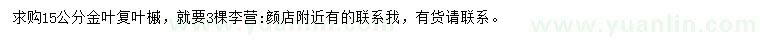 求購15公分金葉復葉槭