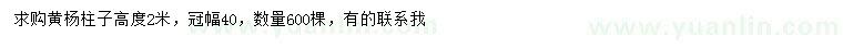 求購高2米黃楊柱子