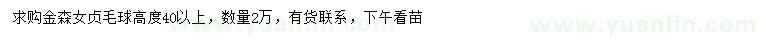 求購高40公分以上金森女貞毛球