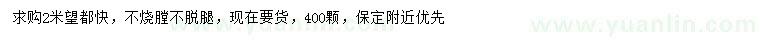 求購2米望都檜