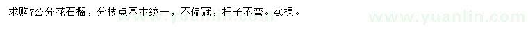 求購(gòu)7公分花石榴