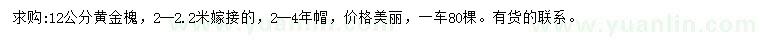 求購12公分黃金槐