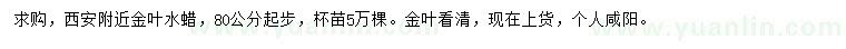 求購(gòu)80公分以上金葉水蠟、