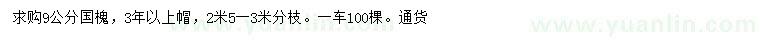 求購9公分國槐