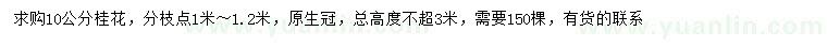 求購10公分桂花