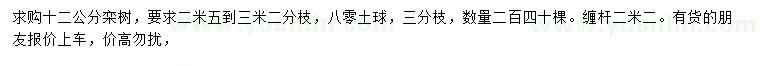 求購12公分欒樹(shù)