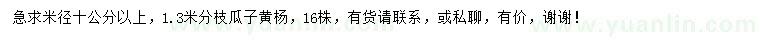 求購米徑10公分以上瓜子黃楊