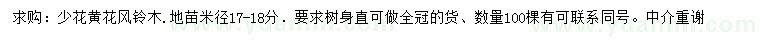求購米徑17-18公分少花黃花風(fēng)鈴木