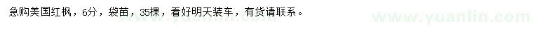 求購6公分美國紅楓