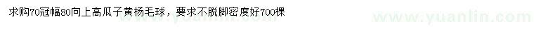 求購冠幅70公分瓜子黃楊毛球