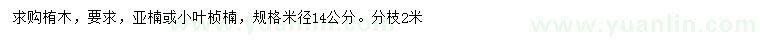 求購米徑14公分亞楠、小葉楨楠