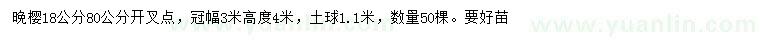 求購18公分晚櫻