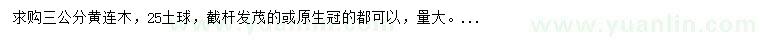 求購3公分黃連木