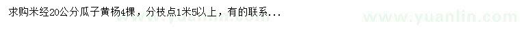 求購米徑20公分瓜子黃楊