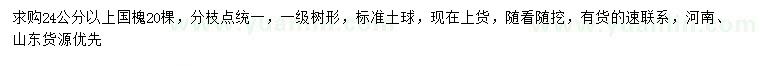 求購24公分以上國槐
