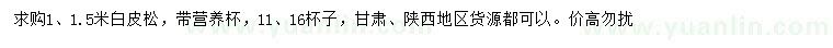 求購(gòu)1、1.5米白皮松