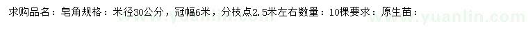 求購米徑30公分皂角