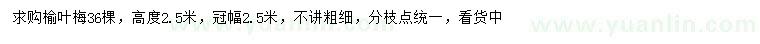 求購高2.5米榆葉梅