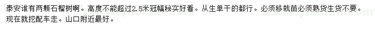 求購石榴樹